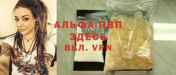 стаф Абинск