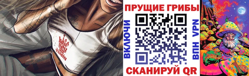 где купить   Енисейск  Галлюциногенные грибы ЛСД 