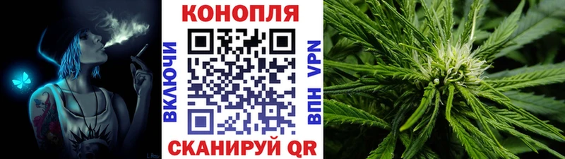 Каннабис план Енисейск